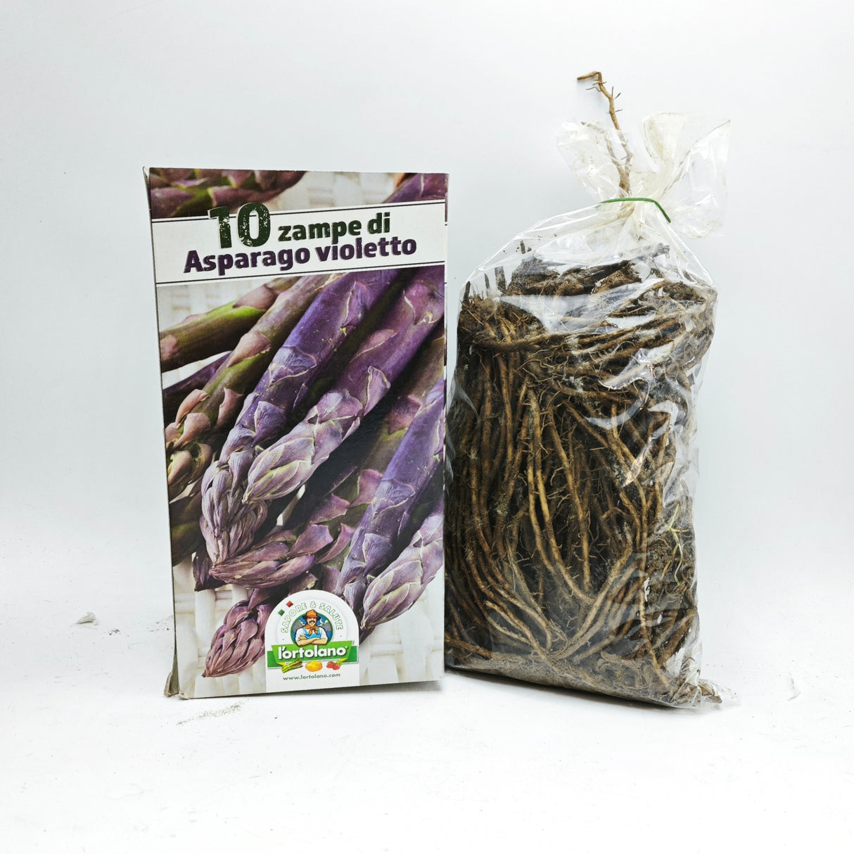 10 Legs Purple Asparagus from Albenga - The Gardener