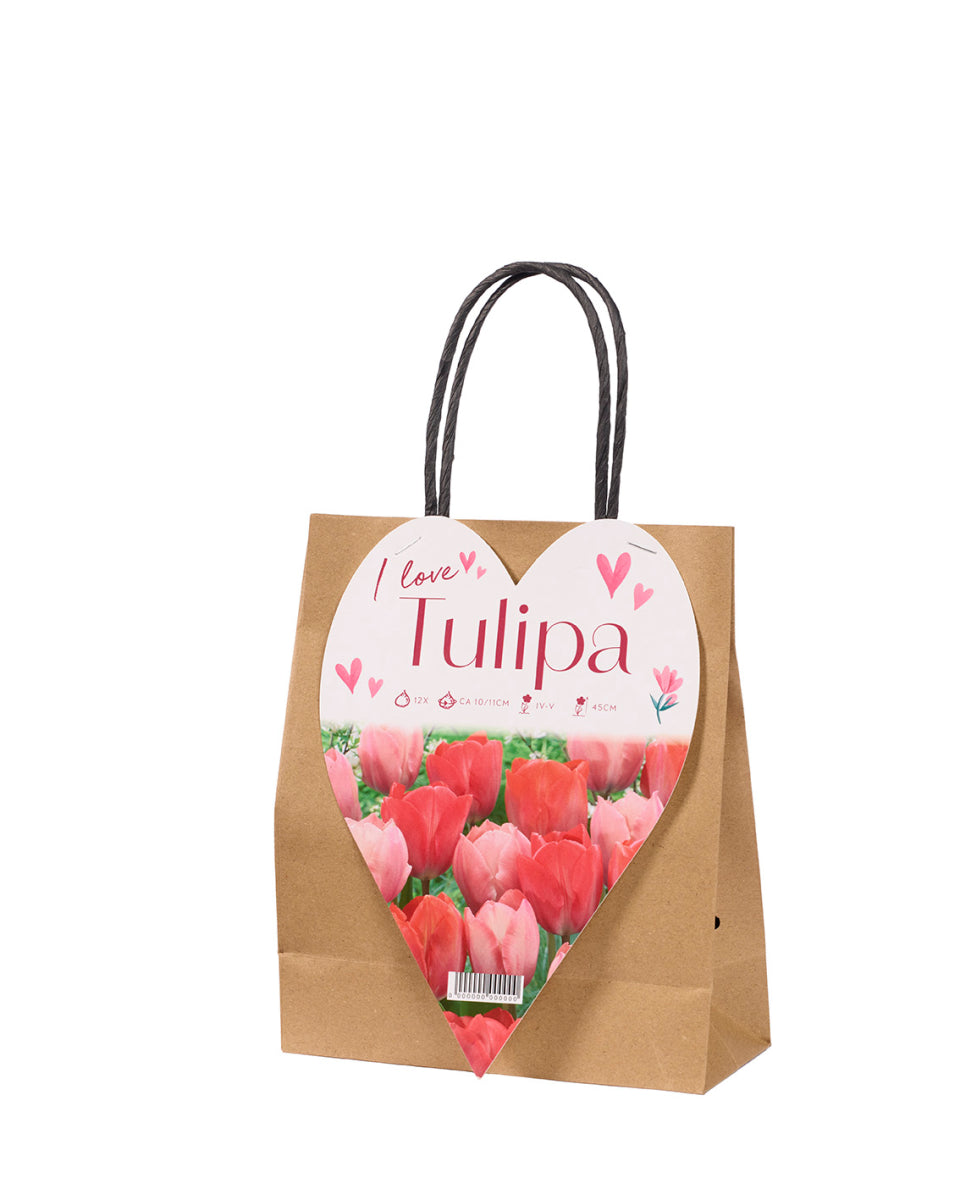 12 Bulbi di Tulipano Idea regalo shopper