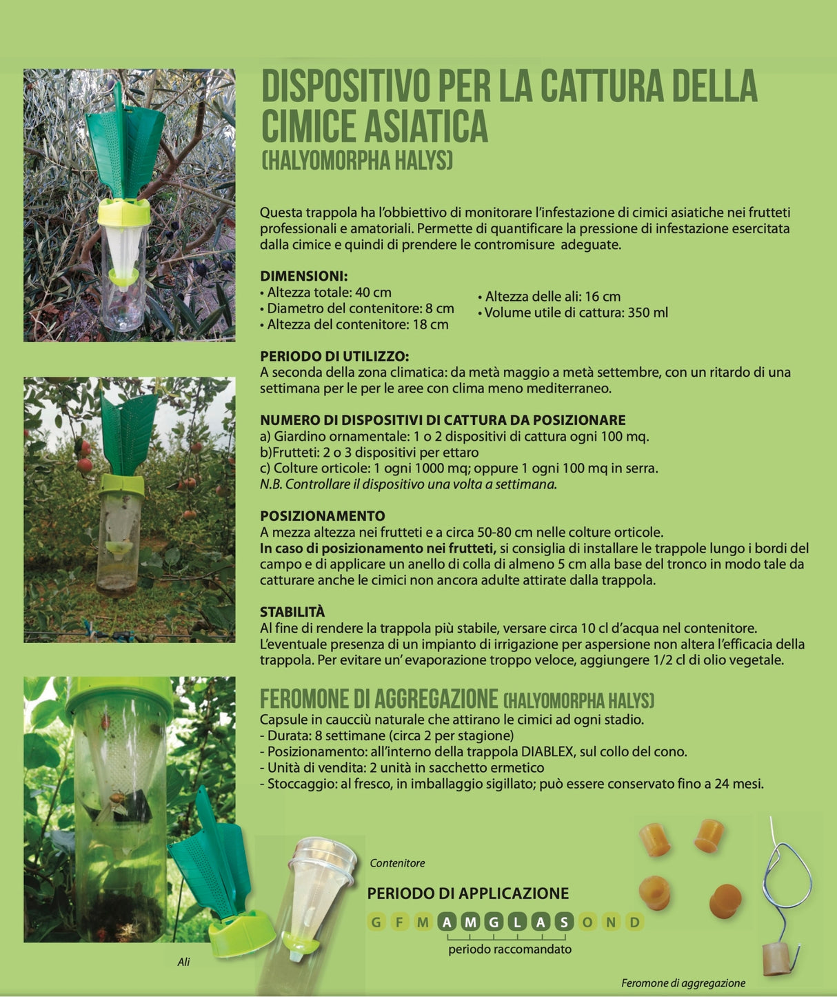 Trappola per cimici asiatiche per orto - con 2 feromoni: 1 attrattivo 1 sessuale