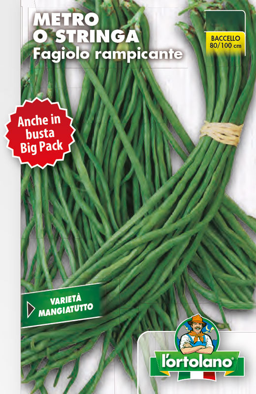 Climbing Bean Seeds Metro or String Pink Seed - Big Pack - L'Ortolano