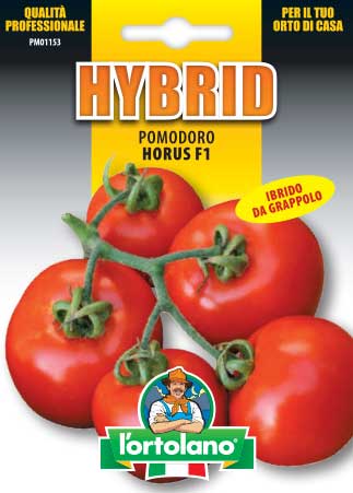 Semi di Pomodoro a grappolo Horus Ibrido F1 - L'Ortolano