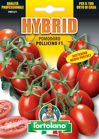 Pollicino Datterino Tomato Hybrid F1 - L'Ortolano