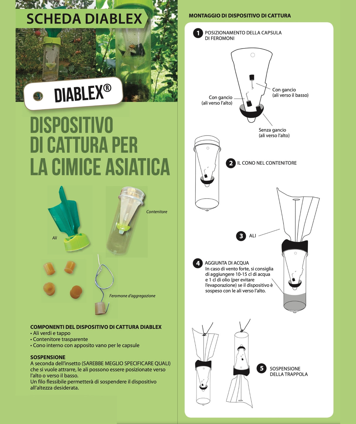 Trappola per cimici asiatiche per orto - con 2 feromoni: 1 attrattivo 1 sessuale