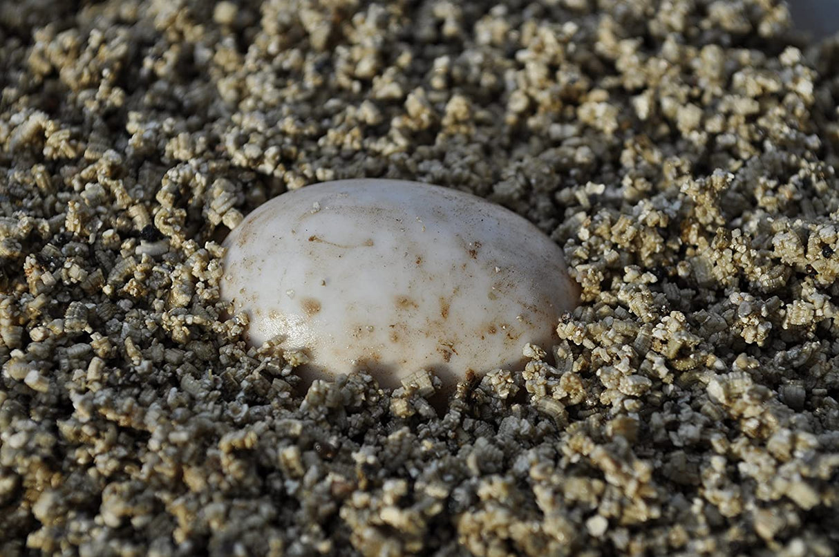 Vermiculite - 100 Lt - Floragard MillStore (2499747)