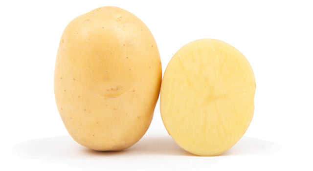 Nostling Patate da Seme - calibro 55/60