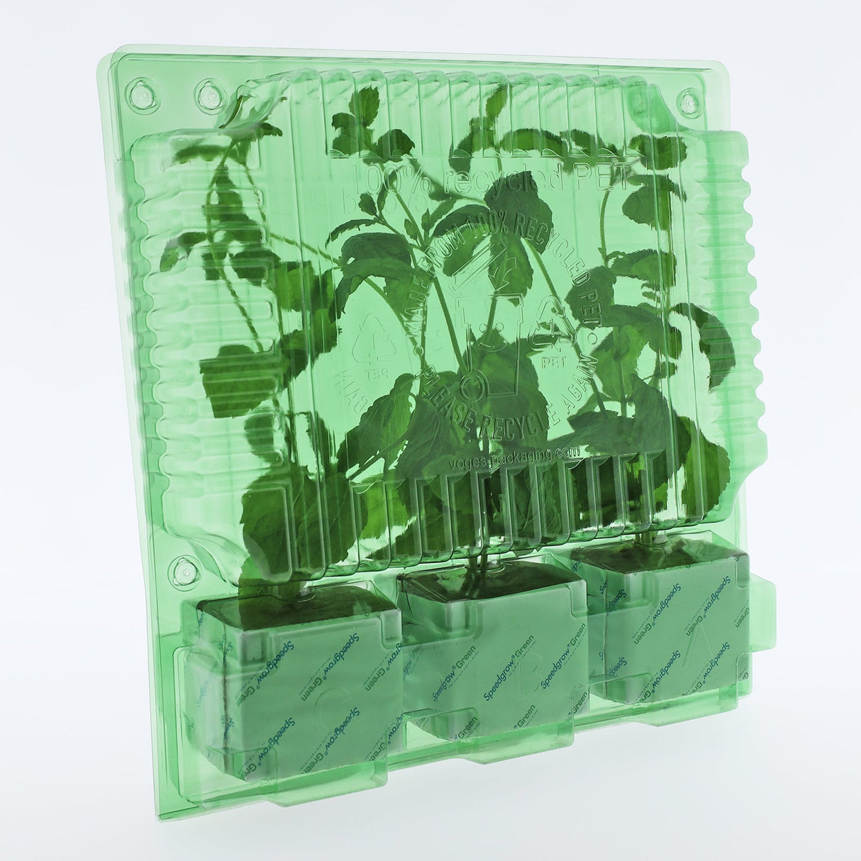 Pacco per ordine postale per 3 tappi 75x75x65mm.