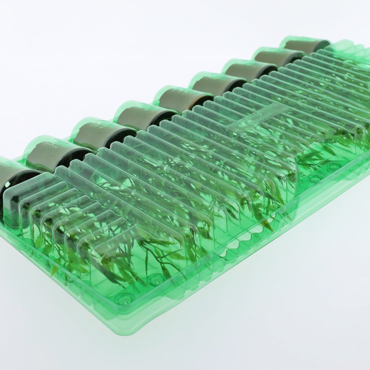 Pacco per ordine per 9 vasi o contenitori ø55x55mm (conico).