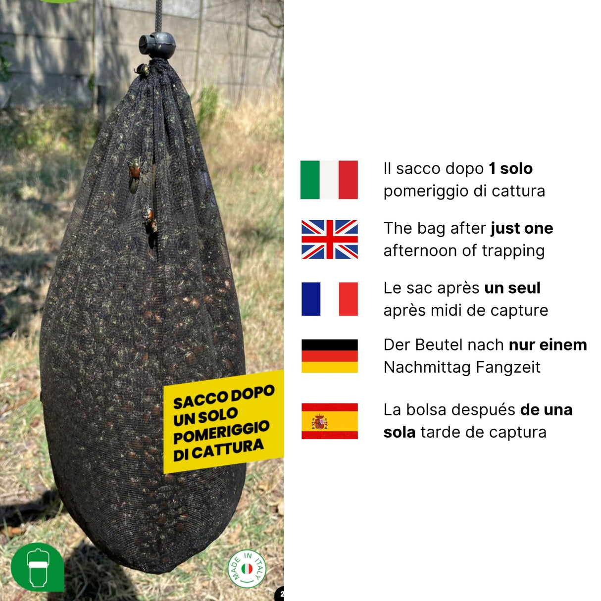 Trappola Popillia Japonica con Feromone Booster – Kit Biologico per 500 m² con 2 Sacchi di Raccolta