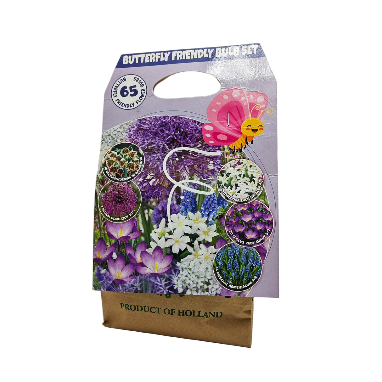 Box 65 bulbi attira Api - Allium Giganteum, Hyacinthus Hispanica Alba, Allium Sphaerocephalon, Crocus Sieberi Tricolor, Fritillaria Meleagris Fioral (4050528)