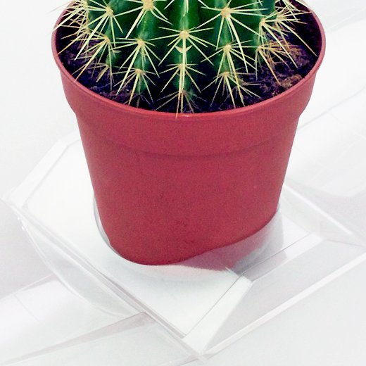 Confezione per contenere 1 pianta in un vaso KUMA ø12cm.