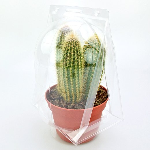 Confezione per trasportare 1 pianta in vaso di ø14-15 cm.