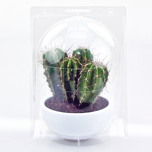 Confezione per trasporto per contenere 1 pianta in vaso o piattino di ø14-15 cm.