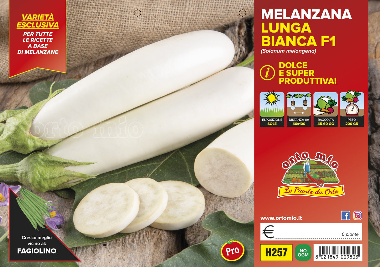 Melanzana Lunga Bianca var. Fiocco di Neve F1 - Orto Mio