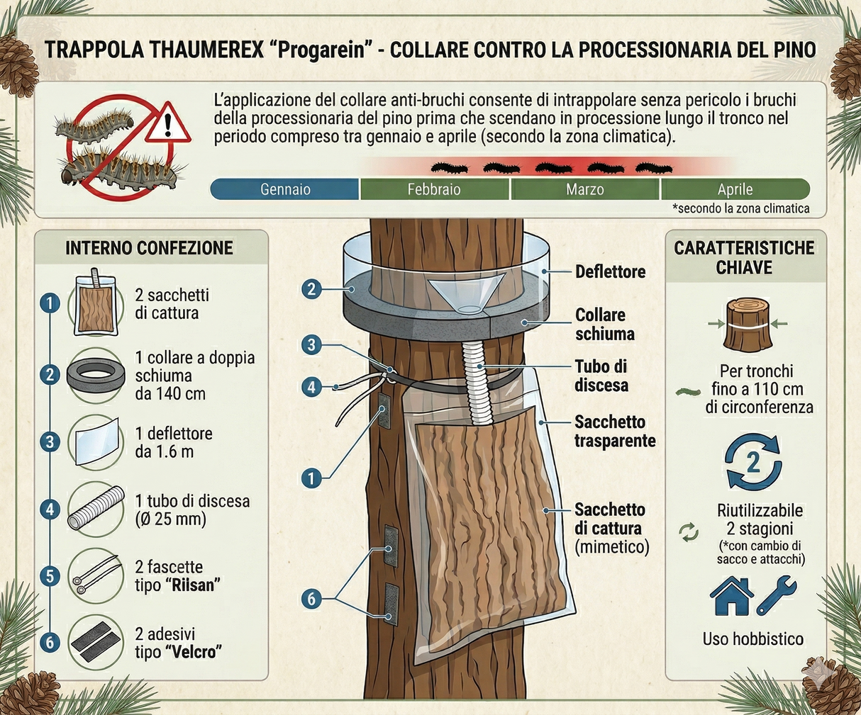Trappola Processionaria del Pino a collare per 2 stagioni