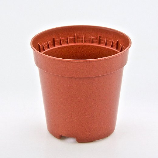 Vaso KUMA 5,5 cm (55Rx52mm).