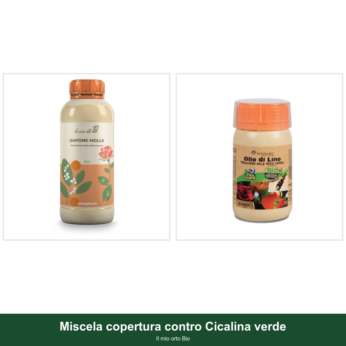 Miscela copertura contro Cicalina verde