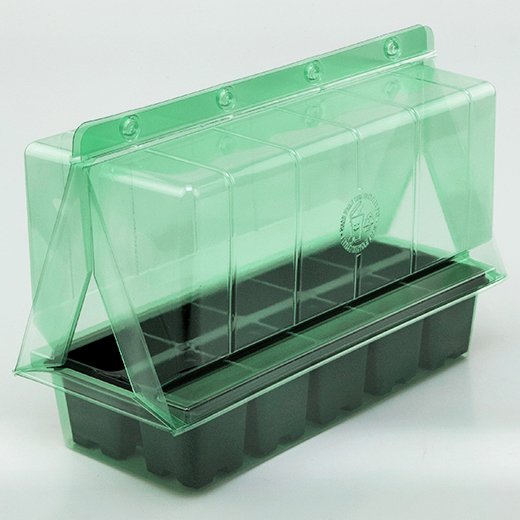 Pacco per ordine postale per un vassoio per piante 315x140x66mm con Lavanda o Bosso.