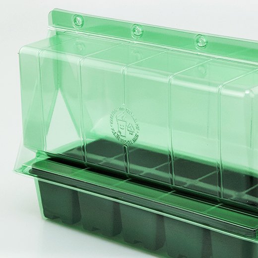 Pacco per ordine postale per un vassoio per piante 315x140x66mm con Lavanda o Bosso.