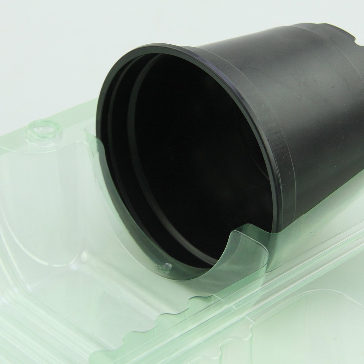 Pacco per ordine per corrispondenza per 1 pianta in un vaso di ø10,5x9cm.