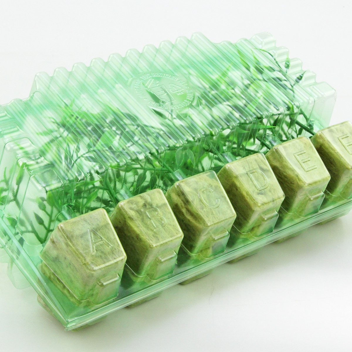 Pacco per ordine postale per 12 tappi 36x36x45mm (cubetti di Rockwool per coltivazione idroponica e Eazy Plugs).