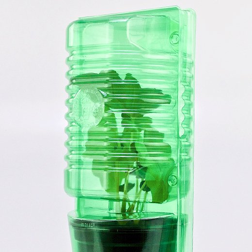 Pacco per ordine per corrispondenza per 1 pianta in un vaso di ø13x12cm.