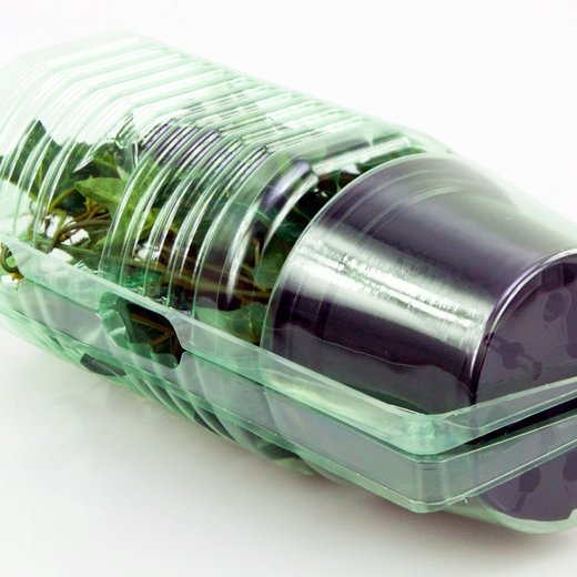 Pacco per ordine per corrispondenza per 1 pianta in un vaso di ø12x9cm.