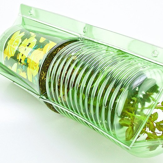 Pacco per ordine per corrispondenza per 1 pianta in un vaso di ø15x21cm (adatto anche per vasi di 11x11x21cm).