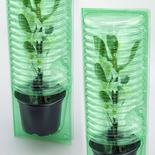 Pacco per ordine per corrispondenza per 1 pianta in un vaso di ø12x9cm.