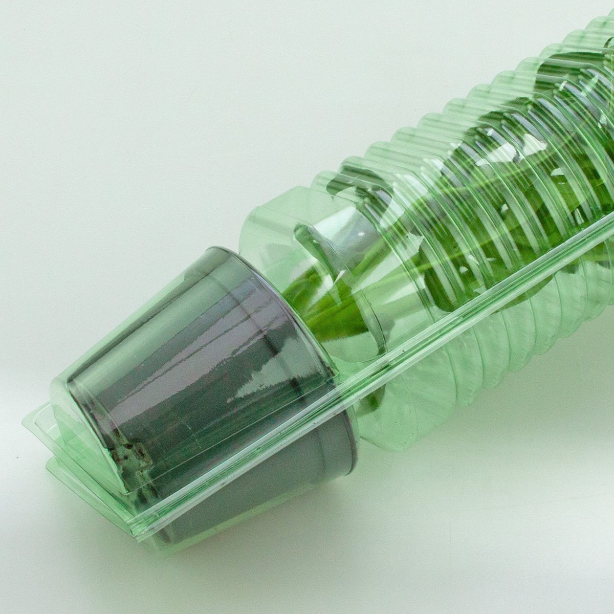 Pacco per ordine per corrispondenza per 1 pianta in un vaso di ø10,5x9cm.