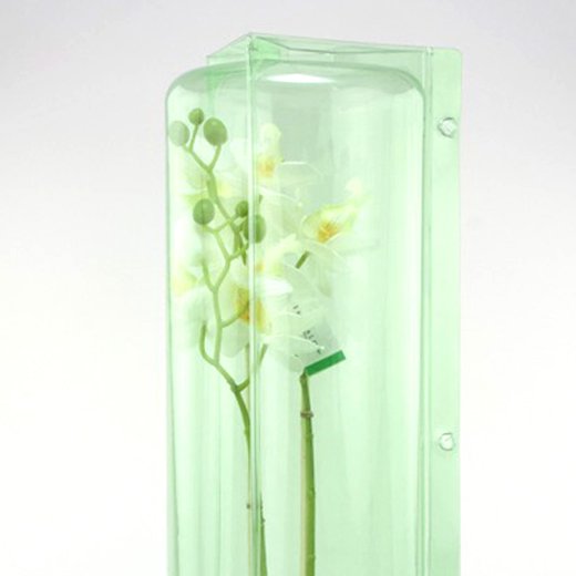 Pacco per ordine per corrispondenza per 1 pianta in un vaso di ø15x14cm.