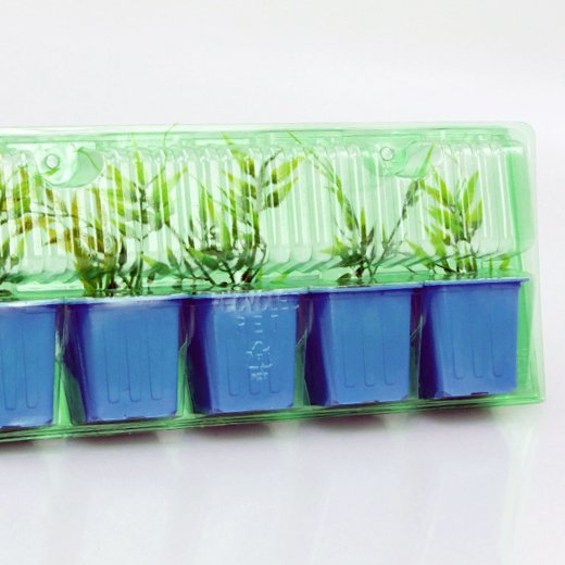 Pacco per ordine per corrispondenza contenente 5 piante in vasi di 7x7x6 cm.