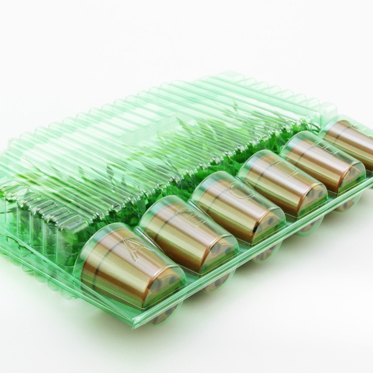 Pacco per ordine per 6 vasi o contenitori ø55x55mm (conico).