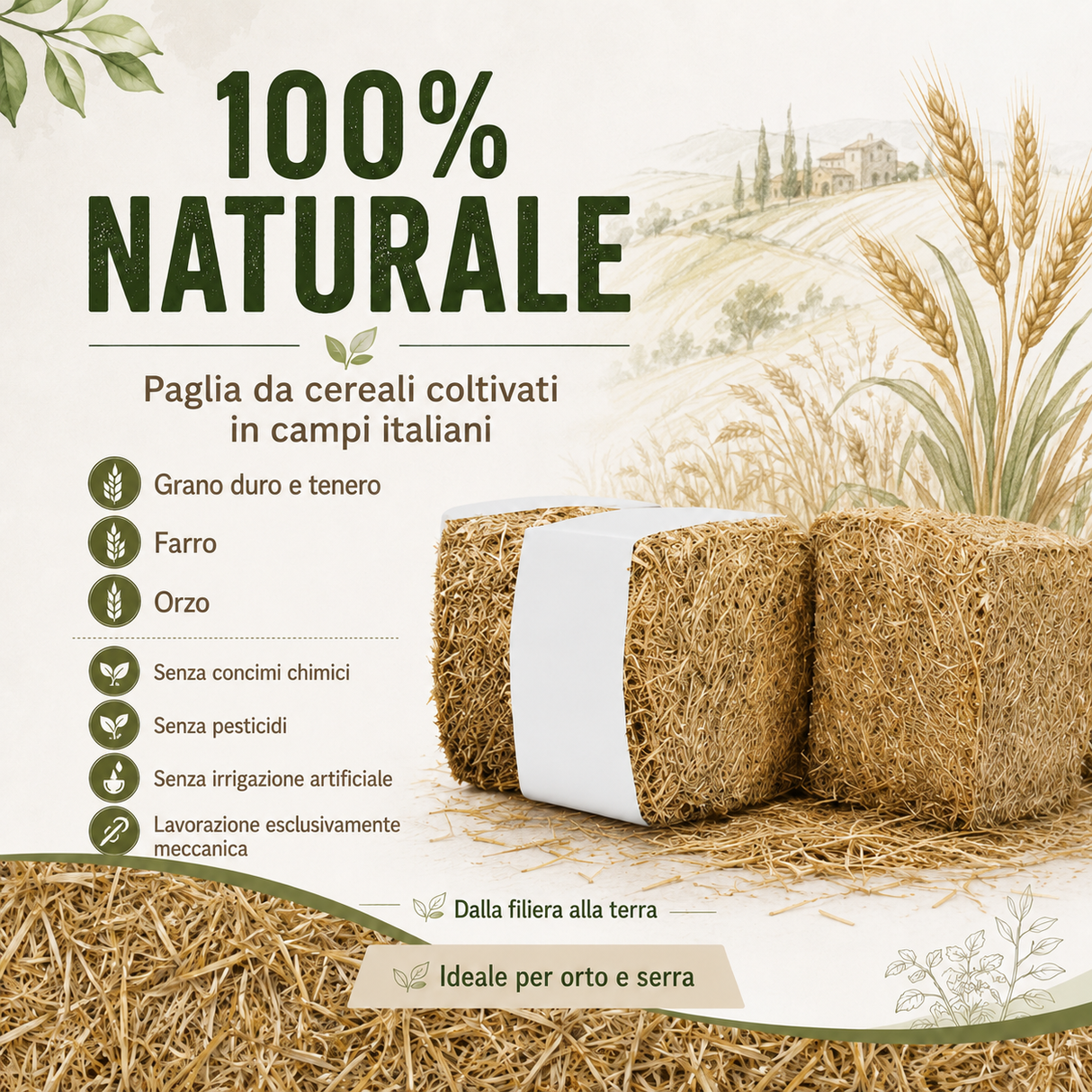 Paglia per pacciamatura piante orto e serra - 13 kg