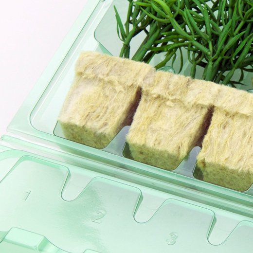 Pacco per ordine postale per 6 tappi 36x36x45mm (cubetti di Rockwool per coltivazione idroponica e Eazy Plugs).