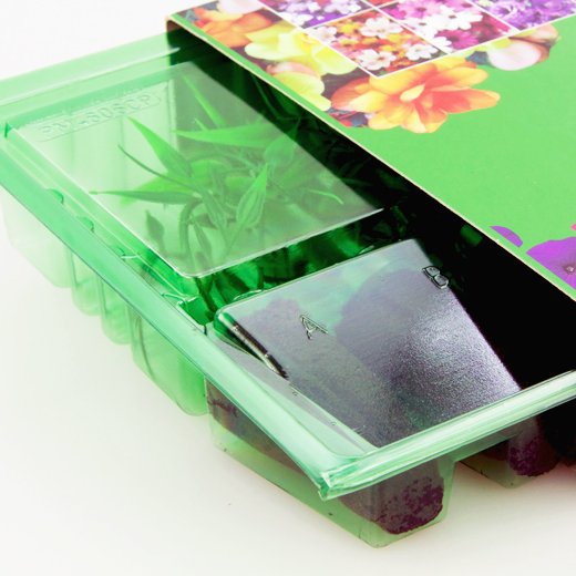 Pacco per ordine postale per 6 tappi 4x4x6cm (conico).