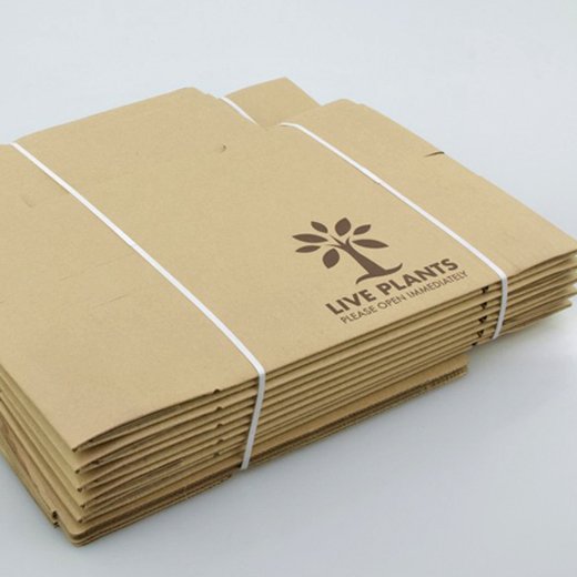 Scatola di cartone 335x107x275mm.