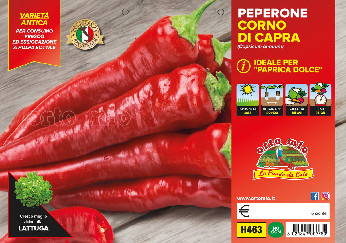 Peperone Corno di Capra in piantine