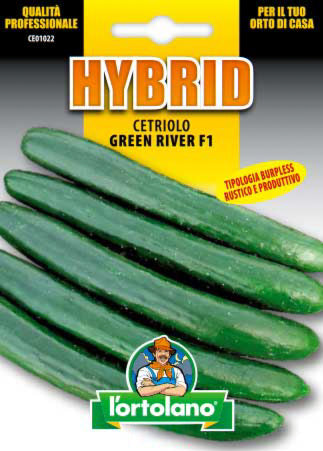 Semi Cetriolo Green River F1 L'Ortolano