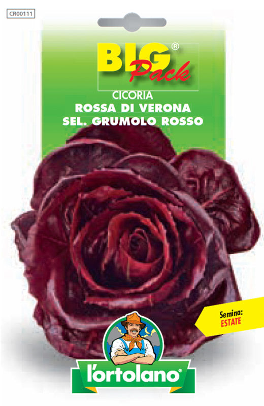 Semi Cicoria Rossa Di Verona Sel. Grumolo Rosso L'Ortolano