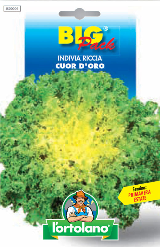 Semi Indivia Riccia Cuor D’oro L'Ortolano