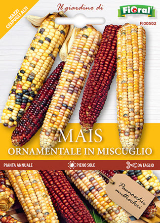 Semi Mais Ornamentale In Miscuglio Fioral