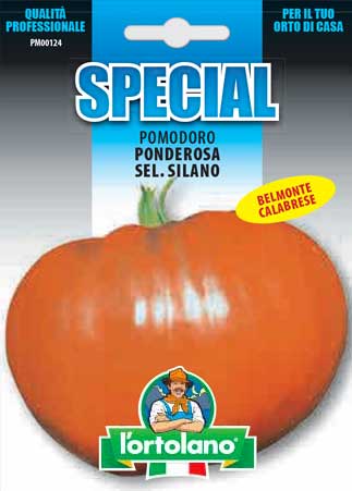 The Greengrocer Pomodoro Ponderosa Sel. Silano (TYPE Belmonte) Special - Seed Envelope