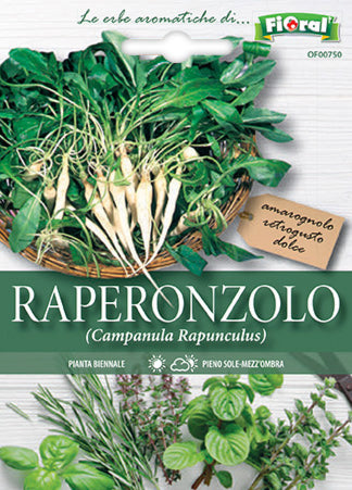 Semi Raperonzolo Fioral