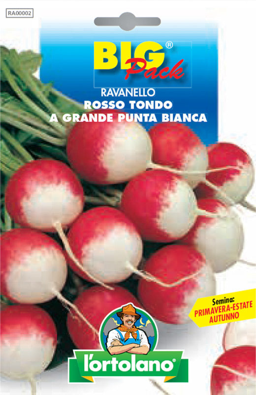 Semi Ravanello Rosso Tondo A Grande Punta Bianca L'Ortolano