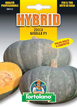 Semi Zucca Giselle F1 L'Ortolano