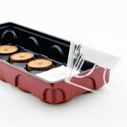 Coperchio per kit di avviamento semi 10 Jiffy o tablet di cocco.