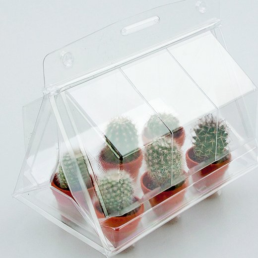 Mini serra propagatrice per 6 piccoli vasi in terracotta.