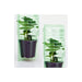 1 x Imballaggio plastica spedire piante vaso ø10,5 x 9 cm - apertura ø 4 cm - h max 18 cm MillStore