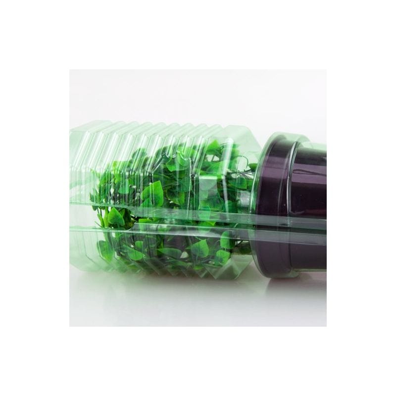 1 x Imballaggio plastica spedire piante vaso ø14 x 13 cm - apertura ø 10 cm - h max 21 cm MillStore