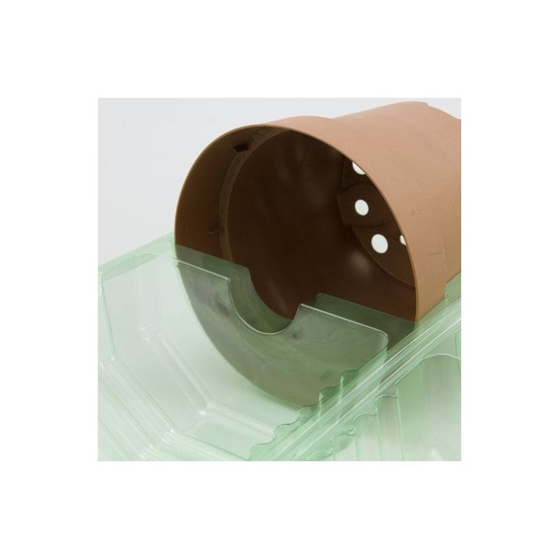 1 x Imballaggio plastica spedire piante vaso ø14 x 13 cm - apertura ø 4 cm - h max 33 cm MillStore